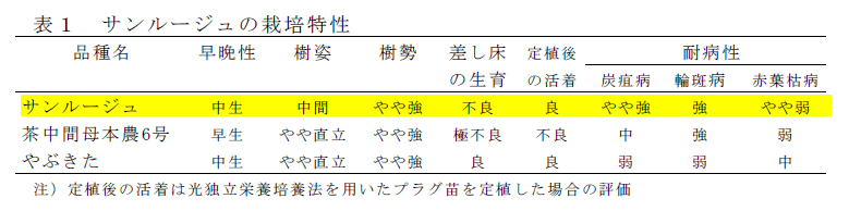 表1 サンルージュの栽培特性