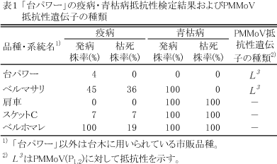 既存台木用品種の「ベルマサリ」よりも疫病および青枯病に対して強度の抵抗性を示し、モザイク病(PMMoV(P1.2))に抵抗性を示すL3遺伝子を有します(表1)。