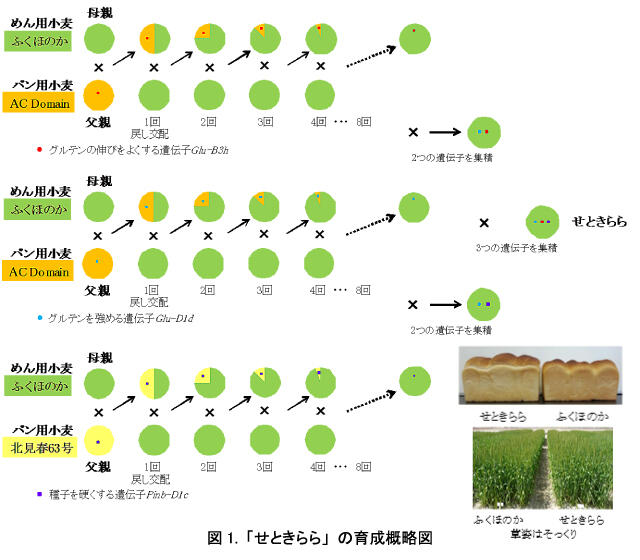 /publicity_report/press/files/warc_pre_image20131011a01.jpg