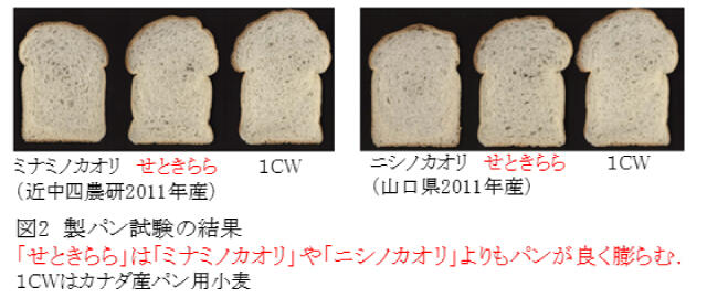 /publicity_report/press/files/warc_pre_image20131011a03.jpg