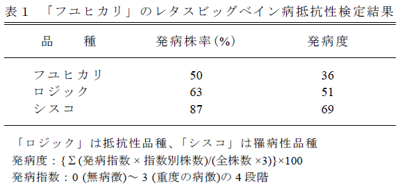 表1 「フユヒカリ」のレタスビッグベイン病抵抗性検定結果