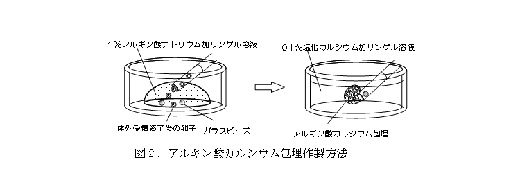 図2