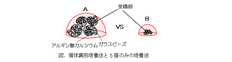 図5