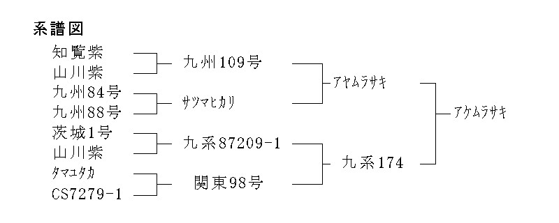 系譜図