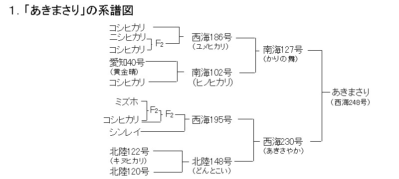 あきまさりの系譜図