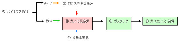 bio3_z4.jpg