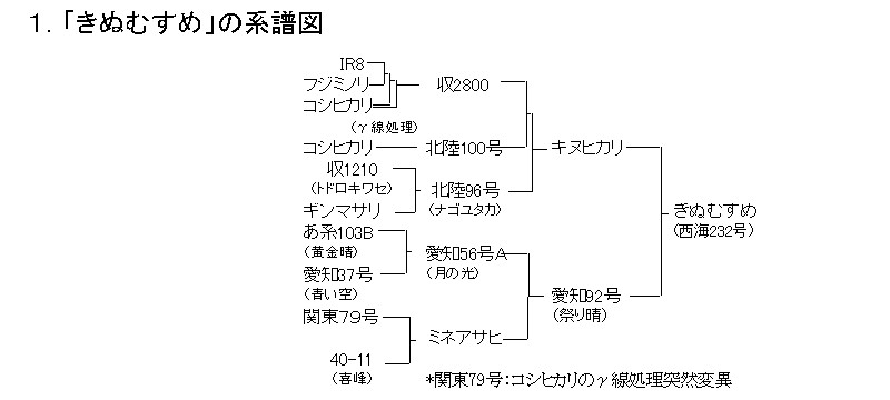 「きぬむすめ」の系譜図