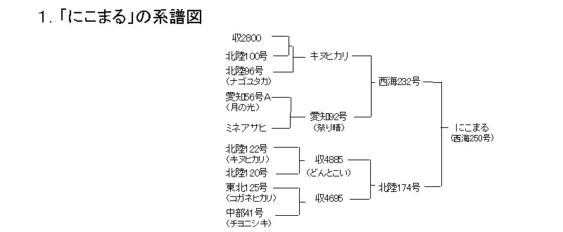 にこまるの系譜図