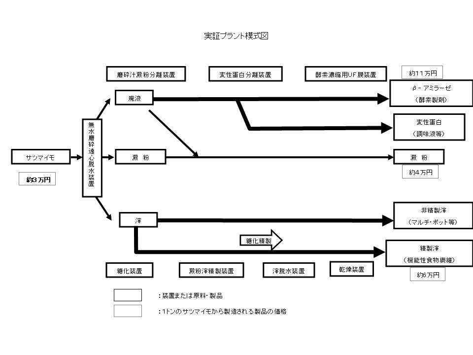 実証プラント模式図