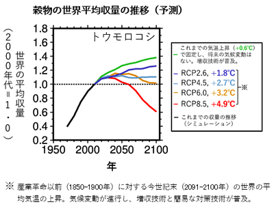 穀物の世界平均収量の推移(予測)トウモロコシ