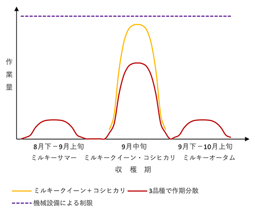 図2 複数品種導入による作期競合回避のイメージ