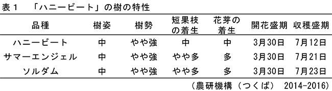 表1「ハニービート」の樹の特性