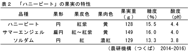 表2「ハニービート」の果実の特性