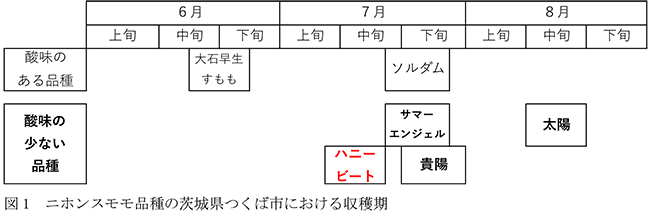 図1ニホンスモモ品種の茨城県つくば市における収穫期