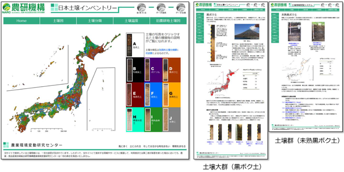 図4.土壌分類について解説