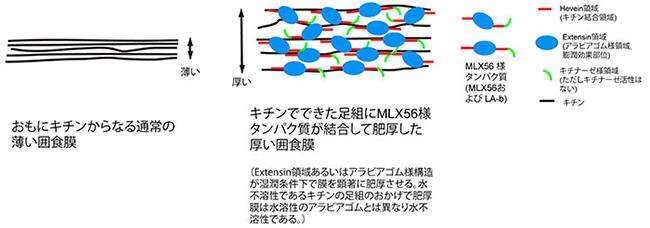 図4