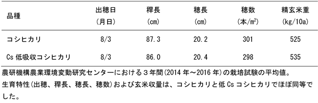 表1