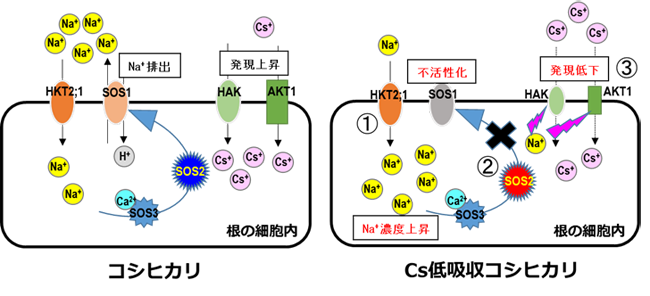 図2