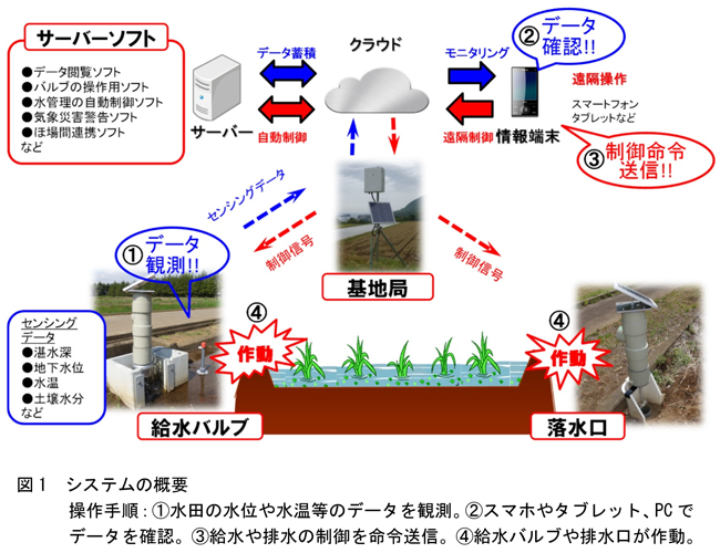 図1 システムの概要