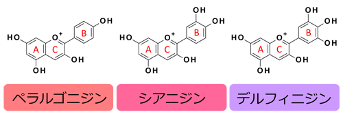 用語1