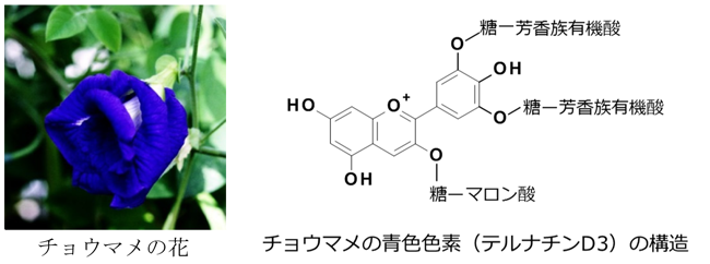 用語5