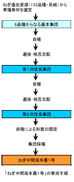 循環選抜の手順