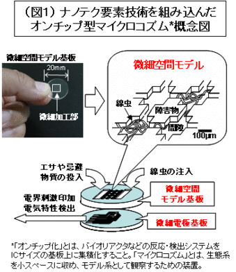 図1 ナノテク要素技術を組み込んだオンチップ型マイクロコズム概念図