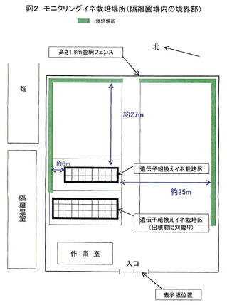 図2 モニタリングイネ栽培場所(隔離圃場内の境界部)