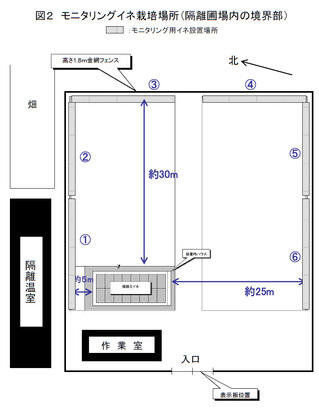 図2 モニタリングイネ栽培場所(隔離圃場内の境界部)