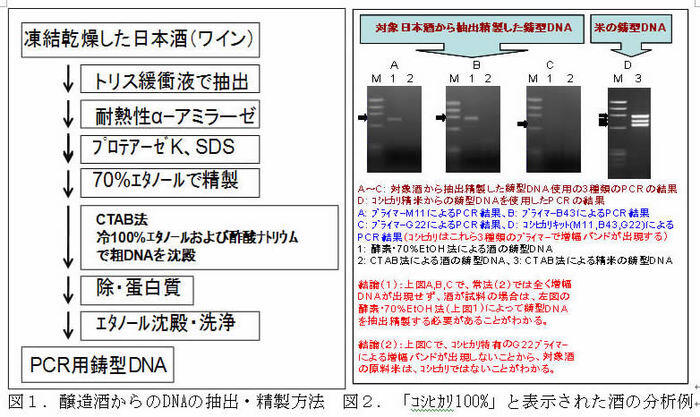 図1-2 醸造酒からのDNAの抽出・精製方法