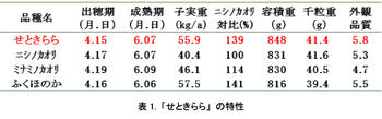 表1:「せときらら」の特性