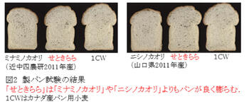 図2:製パン試験の結果