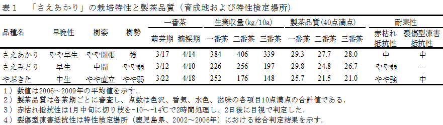 表1 「さえあかり」の栽培特性と製茶品質(育成地および特性検定場所)