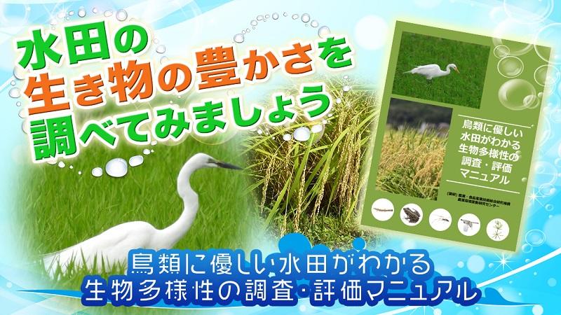 動画「水田の生き物の豊かさを調べてみましょう」.jpg