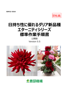 日持ち性に優れるダリア新品種エターニティシリーズ標準作業手順書 | 農研機構