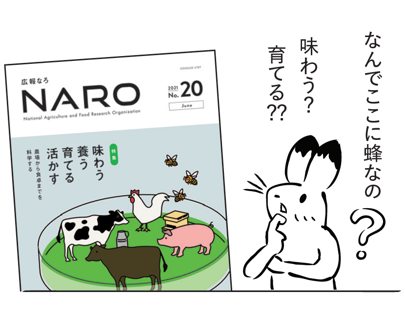 うさぎ「なんでここに蜂なの?味わう?育てる?」