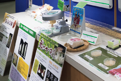 稲の品種開発コーナー展示の様子