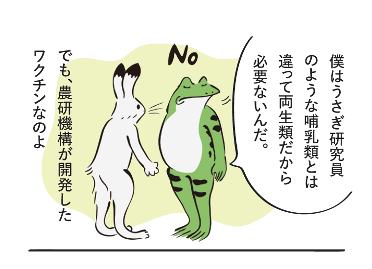 カエル「僕はうさぎ研究員のような哺乳類とは違って両生類だから必要ないんだ。」 うさぎ「でも、農研機構が開発したワクチンなのよ」