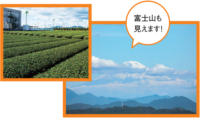 写真:富士山も見えます!