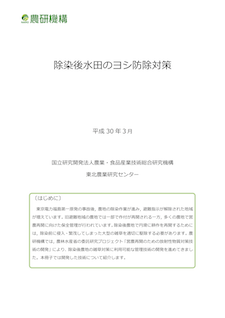 除染後⽔⽥のヨシ防除対策