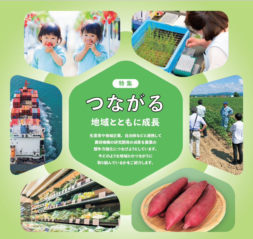 生産者や地域企業、自治体などと連携して農研機構の研究開発の成果を農業の競争力強化につなげようとしています。今どのような地域とのつながりに取り組んでいるかをご紹介します。