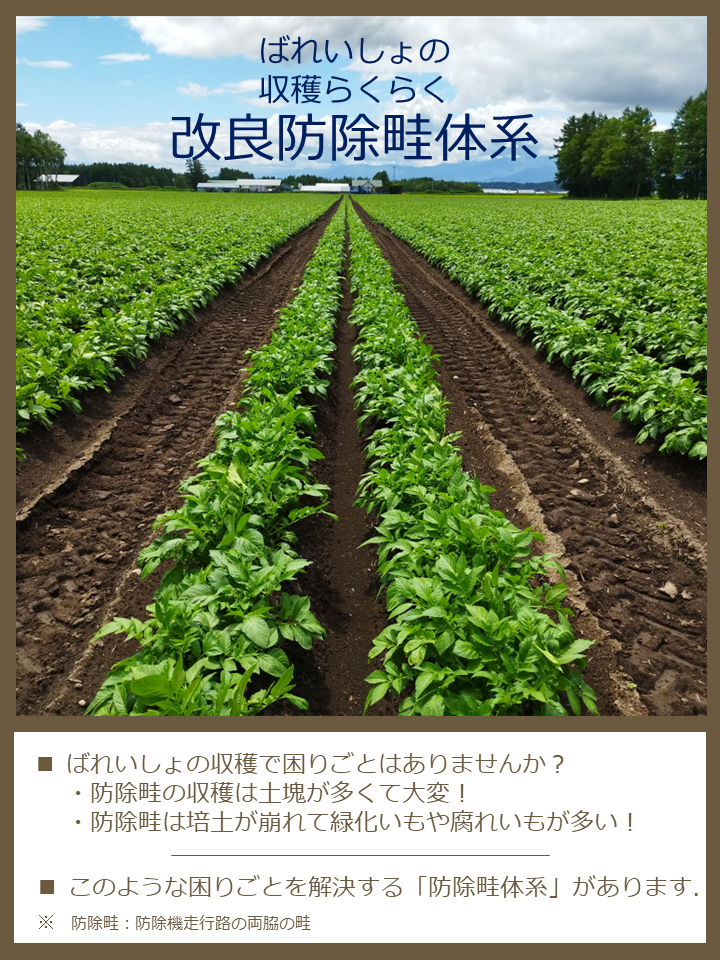 畑作 | 農研機構