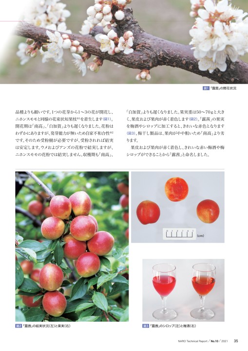 果樹全書 カンキツ 農研機構技報No.10