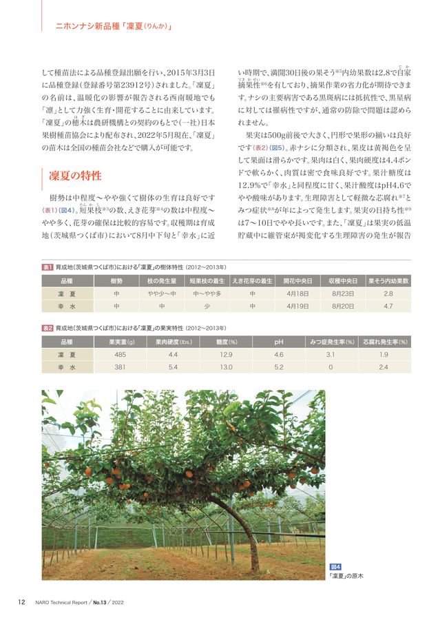 農研機構技報No.13