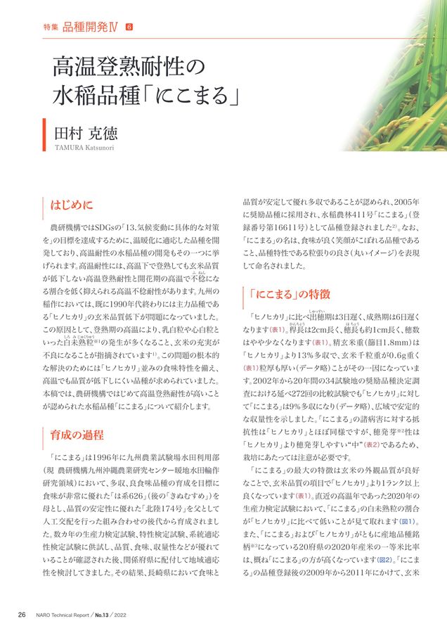 美味しさを追求した「にこまる」
玄米30kg 農研機構技報No.13