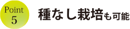 種なし栽培も可能