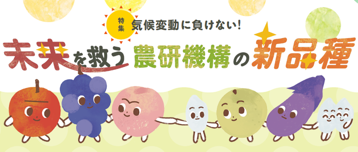 タイトルバナー