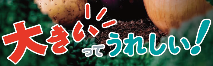 タイトルバナー