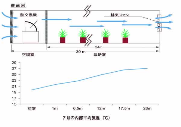 温度反応の解析例グラフ