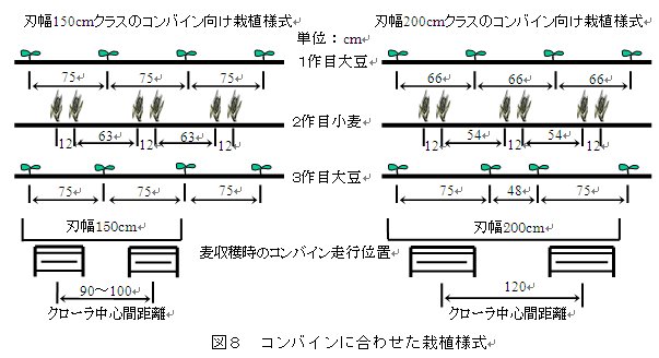 図8 コンバインに合わせた採植様式